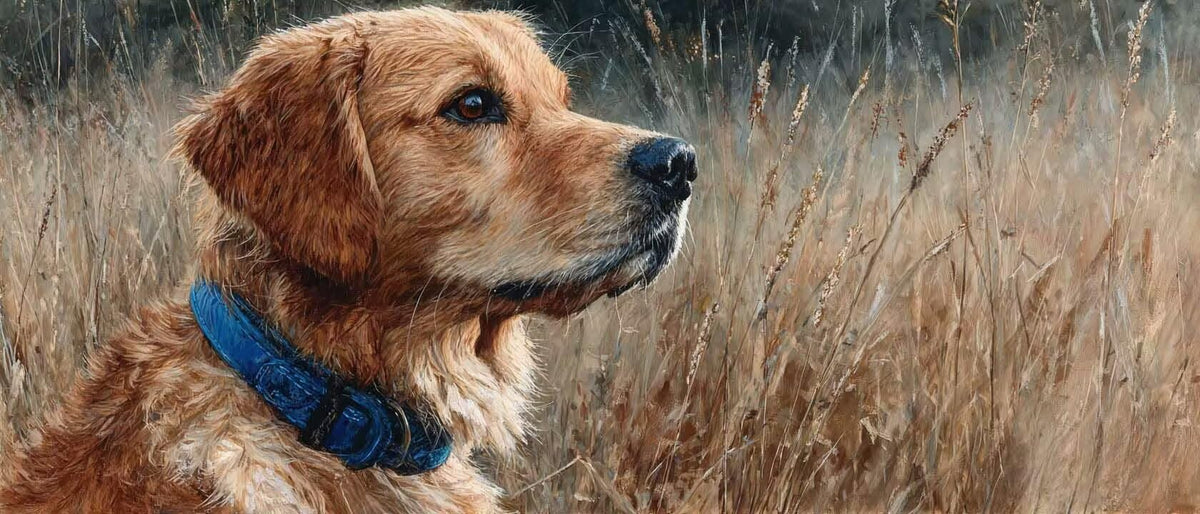Animal Diamond Painting Kit, Dog Diamond Art Kits for Adults Beginner 5D DIY Full Drill Round Rhinestone Gem Art Crafts for Adults with Complete Tools for Home Decor, Gifts 36X72Inch -yym2603OU