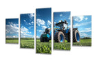 5 Pack Diamond Painting Kits Grassland Tractor Large Diamond Painting Kits for Adults, Crystal Gems Arts and Crafts, DIY Full Drill Embroidery Paintings for Home Wall Decor 300x180cm/120x78in q-9328
